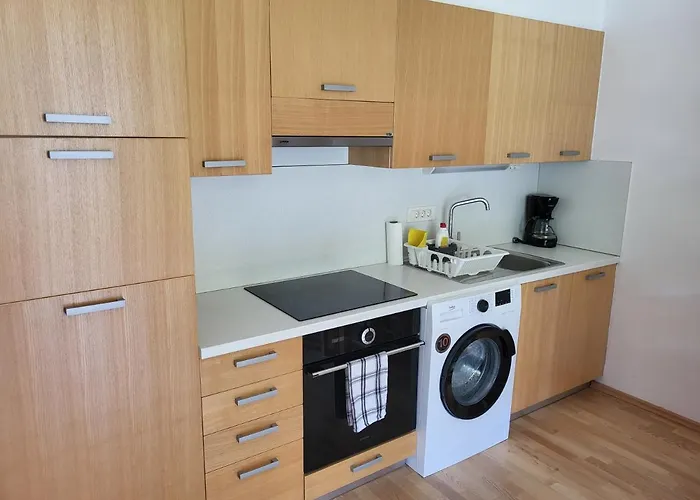 Apartma Runi Pod Zlato Lisico